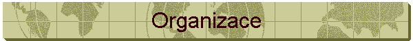 Organizace