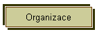 Organizace