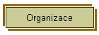 Organizace